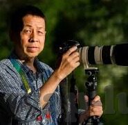 67194人妻-67194人妻，传统与现代交织的婚姻角色