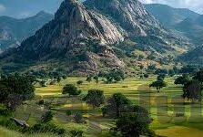 91麻豆短视频-91麻豆短视频，网络文化的另类风景与思考