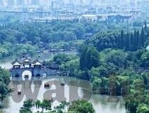 91麻豆视频直播-探索91麻豆视频直播，多元化娱乐时代下的独特视角