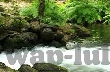 伦理片影音先锋-伦理片，影音先锋的深度探索与价值反思