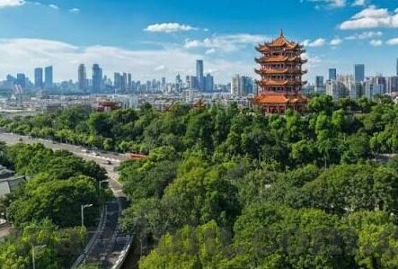 内地伦理-探寻内地伦理的多元维度，传统与现代的交织