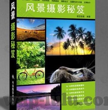 日本伦理电影后母诱惑-伦理的边界，日本电影中后母的诱惑与家庭关系的探索
