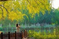 日韩av在线蜜桃-日韩AV在线蜜桃，文化与市场的交汇