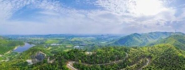 糖心视频app直播下载-解锁娱乐新体验，糖心视频App的直播下载全面指南