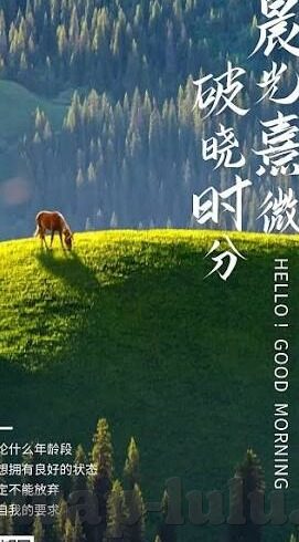 糖心vlog官网网址-探索糖心vlog官网的独特魅力与内容丰富性