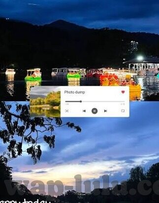 糖心vlog全部视频-糖心Vlog，记录生活点滴，共享真实瞬间